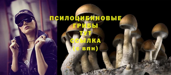 спайс Баксан