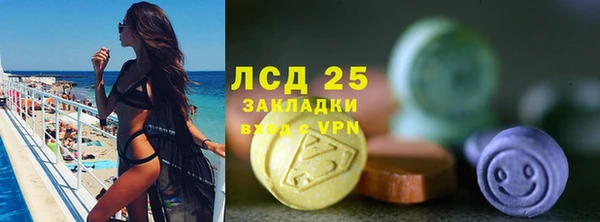 спайс Баксан